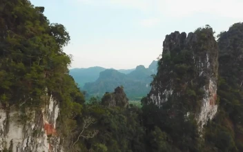 Stock Video Beautiful Wet And Green Panorama Taken From Above For PC