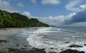 Stock Video Beautiful Tropical Beach And Jungle For PC