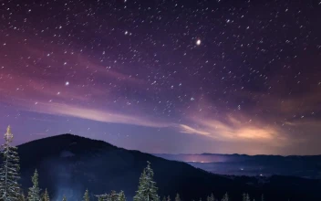 Stock Video Beautiful Time Lapse Of A Starry Sky For PC