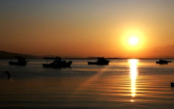Stock Video Beautiful Sunset Reflected In The Sea For PC