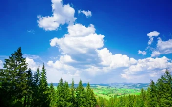 Stock Video Beautiful Summer Landscape In The Mountains For PC