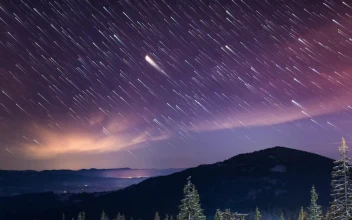 Stock Video Beautiful Starry Sky In Nature Time Lapse For PC
