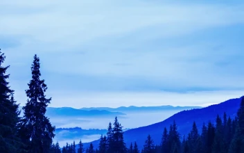 Stock Video Beautiful Skyline Landscape In The Mountains For PC