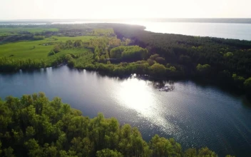 Stock Video Beautiful River In Nature In Spring For PC
