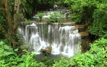 Stock Video Beautiful River And Waterfalls In The Forest For PC