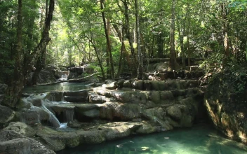 Stock Video Beautiful River And Waterfalls In A Park For PC