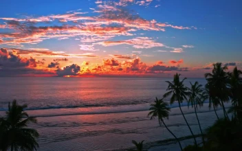Stock Video Beautiful Orange Sunset On The Beach For PC