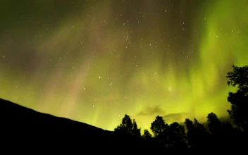 Stock Video Beautiful Northern Lights Of Yellow And Pink Tones For PC