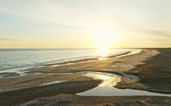 Stock Video Beautiful Morning Sunrise For PC