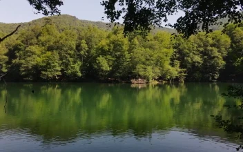 Stock Video Beautiful Lake In The Forest Near The Mountains For PC