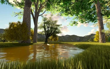 Stock Video Beautiful Lake In A Forest In Summer d Render For PC