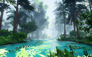 Stock Video Beautiful Lagoon In The Jungle d Animation For PC