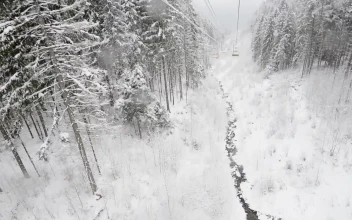 Stock Video Beautiful Frozen Forest Seen From A Ski Station For PC