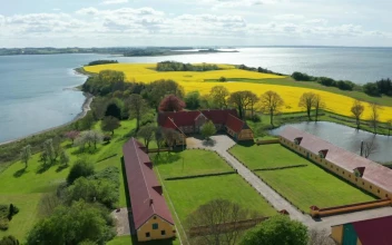 Stock Video Beautiful Fields In Europe For PC