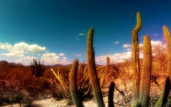 Stock Video Beautiful Desert Landscape Timelapse For PC