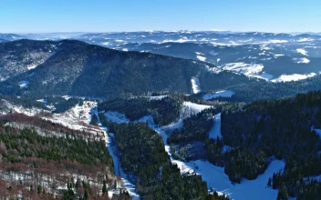 Stock Video Beautiful Aerial Landscape Of Winter Forests For PC