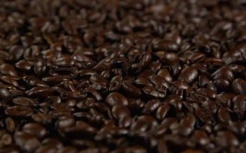 Stock Video Beans Surrounding A Coffee Cup For PC