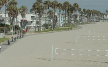 Stock Video Beach Volleyball Courts On The Sand By The Sea For PC