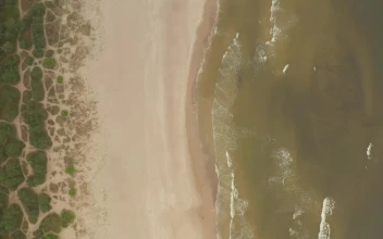 Stock Video Beach Sand And Sea Top Aerial Shot For PC