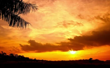 Video Stock Clouds Across An Orange Sky For PC