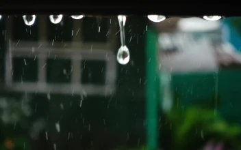 Video Stock Closeup Of Raindrops Falling From The Roof For PC