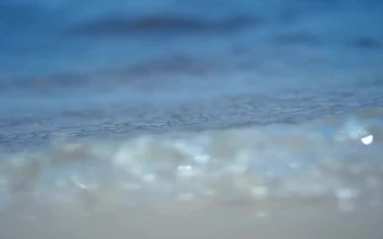 Video Stock Closeup Of Gentle Waves For PC