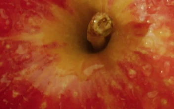Video Stock Close Up View Of Some Fresh Apples For PC