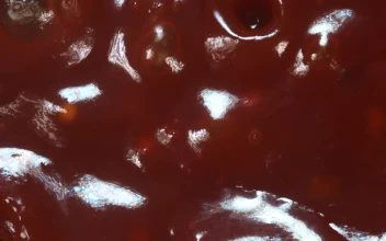 Video Stock Close Up Of Barbecue Sauce Bubbles Exploding For PC
