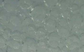 Video Stock Close Texture Of Bubbles Of A Gaseous Liquid For PC