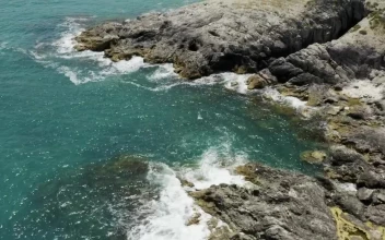 Video Stock Clear Water And Seaweed Covered Rocks For PC