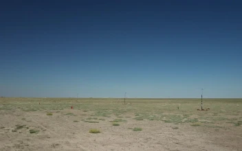 Video Stock Clear Sky On Launch Day For PC
