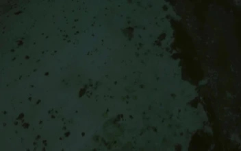 Video Stock Clear Ocean Waters Off Mauritius Island For PC
