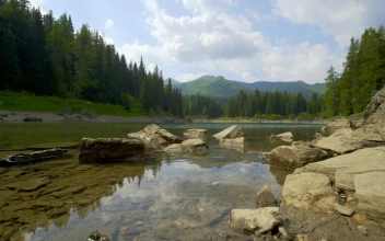 Video Stock Clear Lake And Rocky Shore In Forest Landscape For PC