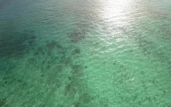 Video Stock Clear Emerald Waters Off Mauritius Island For PC
