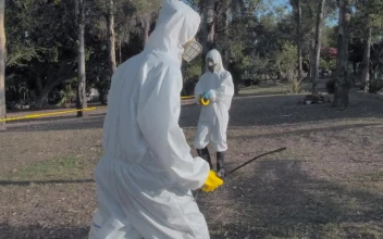 Video Stock Cleaning Staff Disinfecting Areas Of A Park For PC