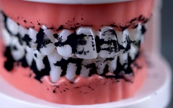 Video Stock Cleaning Fake Teeth With A Brush For PC