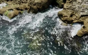 Video Stock Clean Waves Breaking Against The Rocks For PC