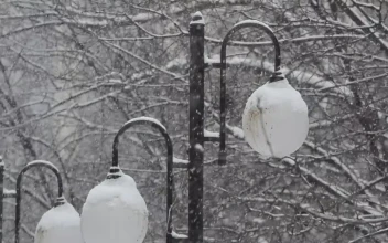 Video Stock City Street Lights Covered In Snow For PC