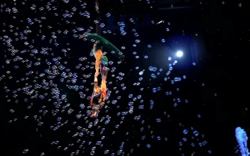 Video Stock Circus Performers Over Fountains For PC