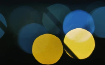 Video Stock Circles Of Lights Out Of Focus Through A Fence For PC