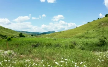 Video Stock Cinematic Aerial View Of Countryside Meadow For PC