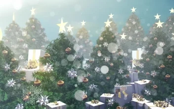 Video Stock Christmas Trees With Gifts In White Boxes D For PC