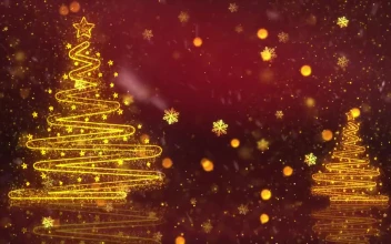 Video Stock Christmas Trees Snowflakes And Red Background For PC