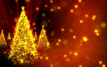 Video Stock Christmas Trees Of Golden Glitter Spinning In Red Background For PC