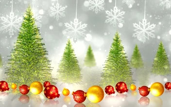 Video Stock Christmas Trees And Spheres Animation For PC
