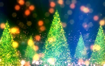 Video Stock Christmas Trees And Particles With Bokeh In The Background For PC