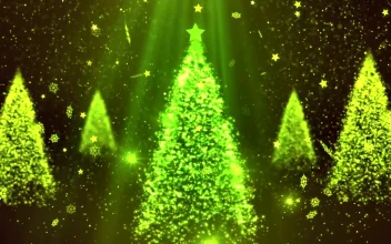Video Stock Christmas Trees And Particles Render For PC