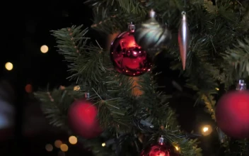 Video Stock Christmas Tree With Ornaments For PC