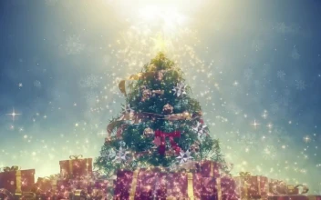 Video Stock Christmas Tree With A Very Bright Star For PC