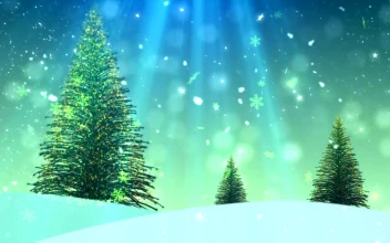 Video Stock Christmas Tree Title Background Render For PC